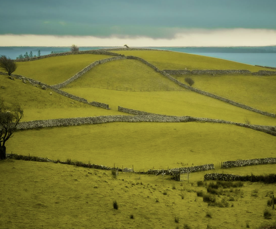 The yellowgreen land with blue sky view